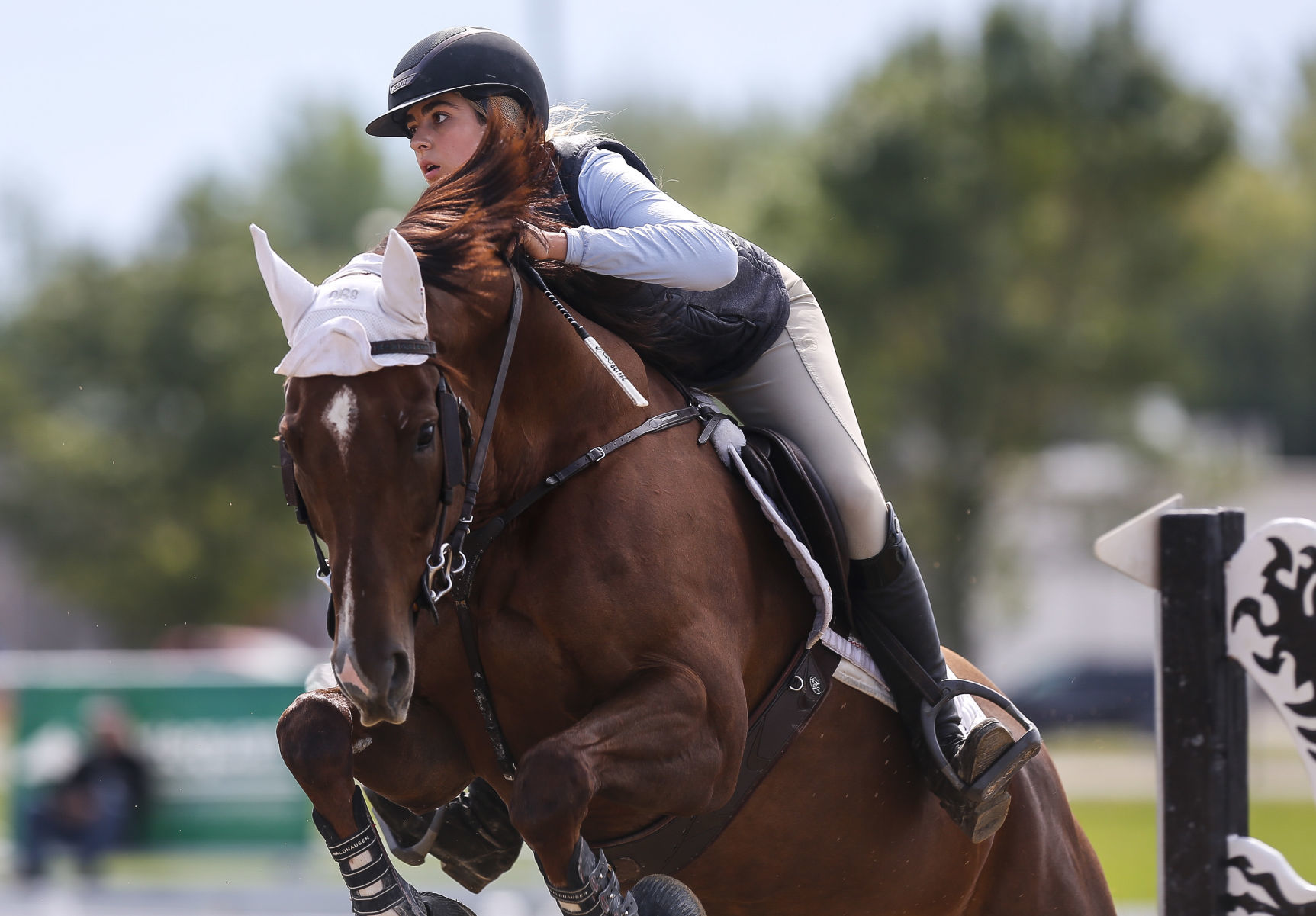 Midstates Horse Show 8